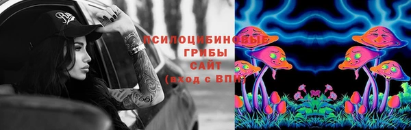 соль курить ск Кулебаки