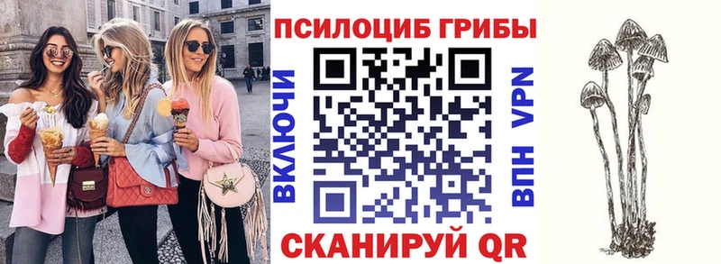 даркнет Telegram сколько стоит Мосальск Псилоцибиновые грибы Magic Shrooms